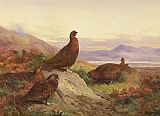 The Morning Call by Archibald Thorburn